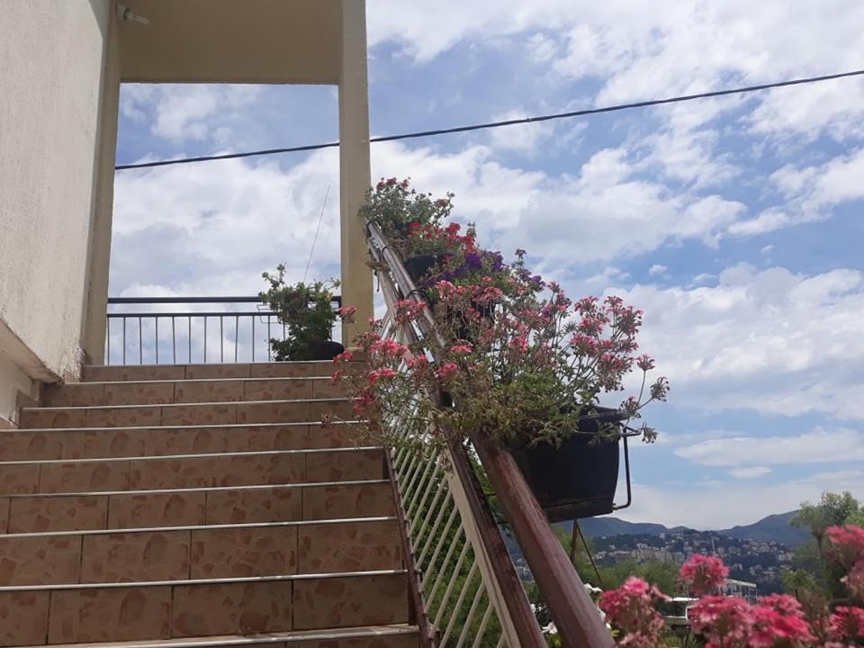 Barbarez Guest House Χέρτσεγκ Νόβι Εξωτερικό φωτογραφία